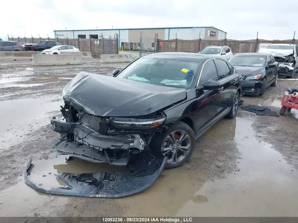 1HGCY1F32RA800210 2024 HONDA ACCORD - Image 2