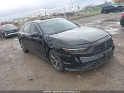 1HGCY1F32RA800725 2024 HONDA ACCORD