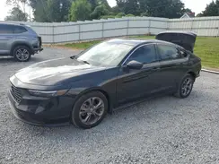 1HGCY1F33RA011709 2024 HONDA ACCORD