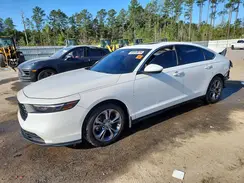 1HGCY1F33RA021401 2024 HONDA ACCORD