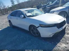 1HGCY1F33RA023522 2024 HONDA ACCORD