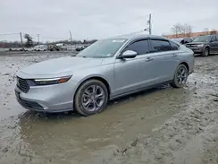 1HGCY1F33RA028641 2024 HONDA ACCORD