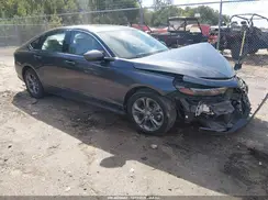 1HGCY1F33RA043771 2024 HONDA ACCORD