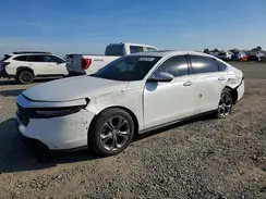 1HGCY1F33RA061459 2024 HONDA ACCORD