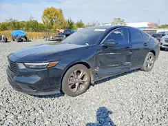 1HGCY1F33RA081971 2024 HONDA ACCORD