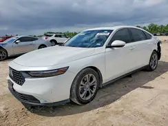 1HGCY1F33RA083414 2024 HONDA ACCORD