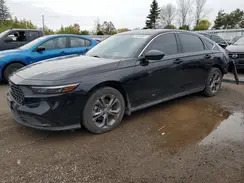 1HGCY1F33RA800622 2024 HONDA ACCORD