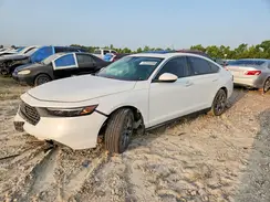 1HGCY1F34PA055246 2023 HONDA ACCORD