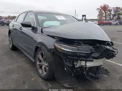 1HGCY1F34RA003005 2024 HONDA ACCORD