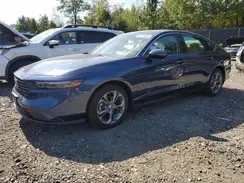 1HGCY1F34RA005224 2024 HONDA ACCORD