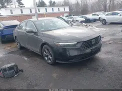 1HGCY1F34RA040815 2024 HONDA ACCORD