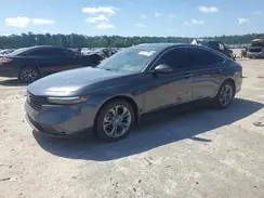 1HGCY1F34RA043813 2024 HONDA ACCORD