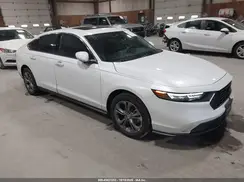 1HGCY1F34RA065195 2024 HONDA ACCORD