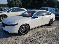 1HGCY1F34RA071174 2024 HONDA ACCORD