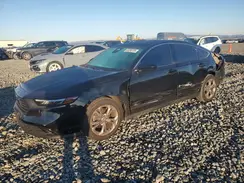 1HGCY1F34RA081820 2024 HONDA ACCORD