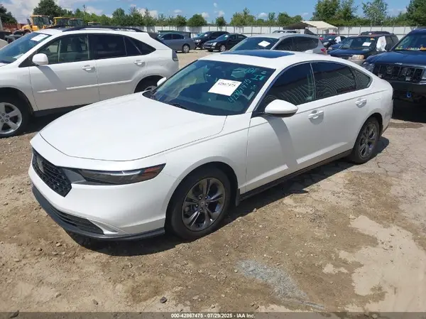 1HGCY1F34RA082515 2024 HONDA ACCORD - Image 2