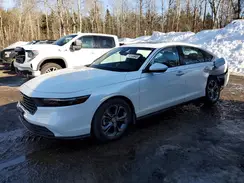 1HGCY1F34RA800550 2024 HONDA ACCORD
