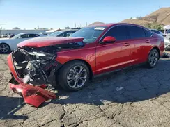 1HGCY1F35PA049908 2023 HONDA ACCORD