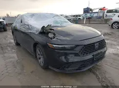 1HGCY1F35PA801512 2023 HONDA ACCORD