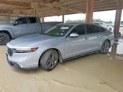 1HGCY1F35RA020282 2024 HONDA ACCORD