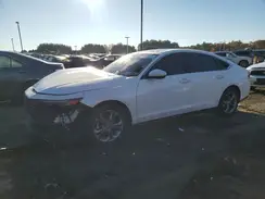 1HGCY1F35RA021383 2024 HONDA ACCORD
