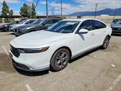 1HGCY1F35RA023554 2024 HONDA ACCORD