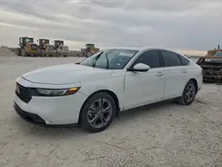 1HGCY1F35RA025367 2024 HONDA ACCORD