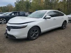 1HGCY1F35RA800010 2024 HONDA ACCORD