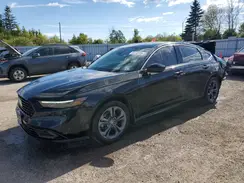 1HGCY1F35RA800962 2024 HONDA ACCORD