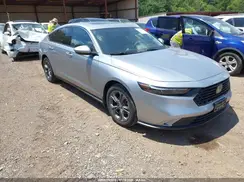 1HGCY1F36PA056169 2023 HONDA ACCORD
