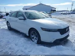 1HGCY1F36RA002146 2024 HONDA ACCORD