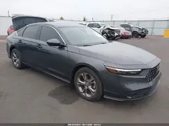1HGCY1F36RA003264 2024 HONDA ACCORD