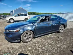 1HGCY1F36RA004656 2024 HONDA ACCORD