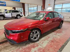 1HGCY1F36RA006097 2024 HONDA ACCORD