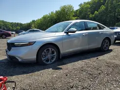 1HGCY1F36RA006505 2024 HONDA ACCORD