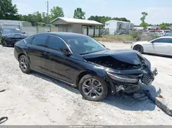 1HGCY1F36RA009436 2024 HONDA ACCORD