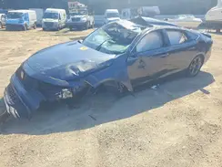 1HGCY1F36RA015107 2024 HONDA ACCORD