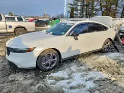 1HGCY1F36RA018055 2024 HONDA ACCORD