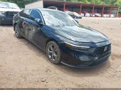1HGCY1F36RA019951 2024 HONDA ACCORD