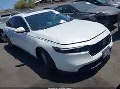 1HGCY1F36RA023613 2024 HONDA ACCORD