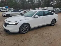 1HGCY1F36RA026415 2024 HONDA ACCORD
