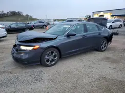 1HGCY1F36RA034773 2024 HONDA ACCORD