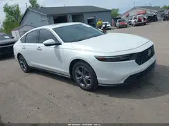 1HGCY1F36RA036524 2024 HONDA ACCORD