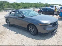 1HGCY1F36RA052013 2024 HONDA ACCORD