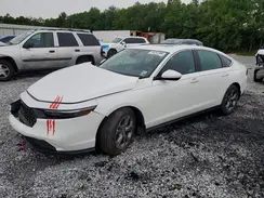 1HGCY1F36RA056305 2024 HONDA ACCORD