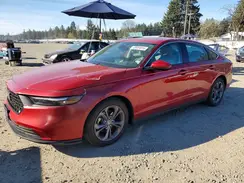 1HGCY1F36RA056787 2024 HONDA ACCORD