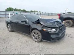 1HGCY1F36RA062329 2024 HONDA ACCORD