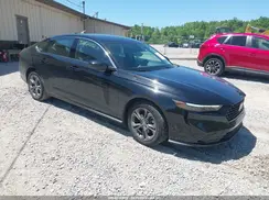 1HGCY1F36RA081432 2024 HONDA ACCORD