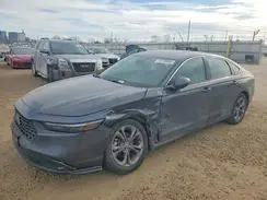 1HGCY1F37RA005721 2024 HONDA ACCORD