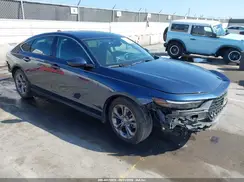 1HGCY1F37RA016234 2024 HONDA ACCORD